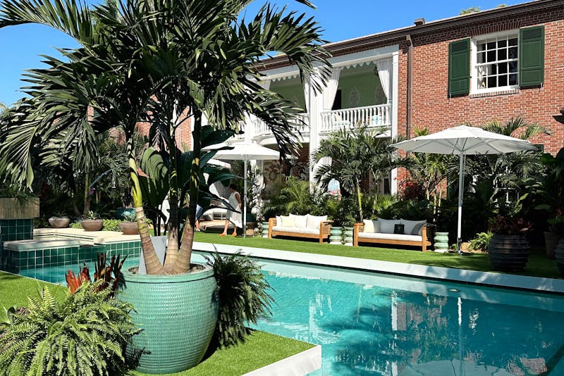 swimming pool with plants